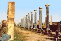 Viaggio in Turchia. Gruppi Archeologici d'Italia.